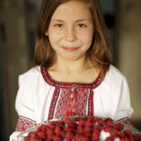 cake-683x1024