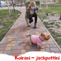 lera_blog_fin