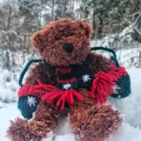 teddy_blog