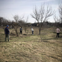 working_in_garden_