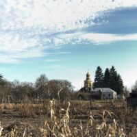 blog